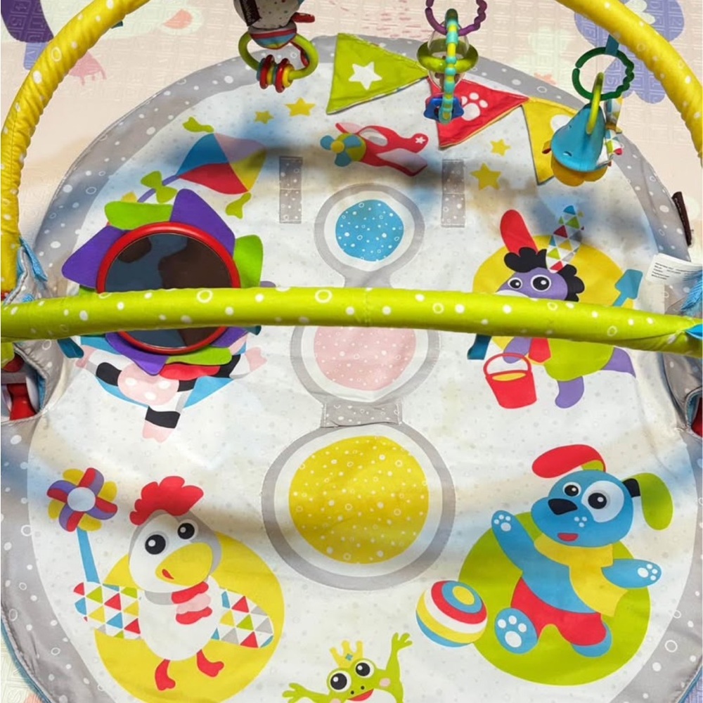 Colorful Play Gym for Kids